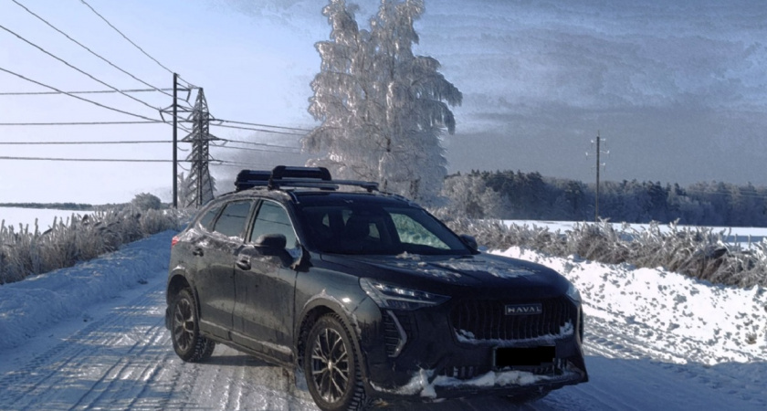    Стоп-кадр из видео на RuTube