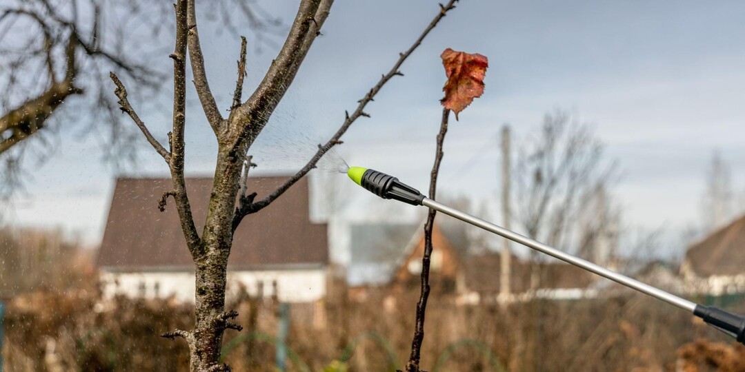 Что лучше для весенней обработки сада, бордоская жидкость или медный купорос и почему