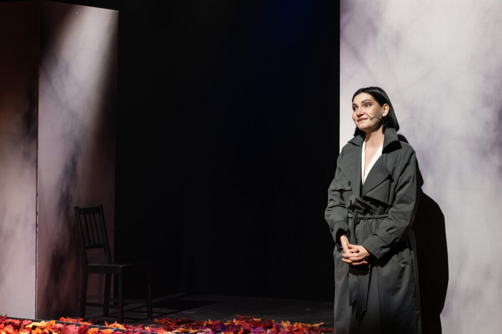    Фото: Анна Смолякова Источник фото: Театр To Go