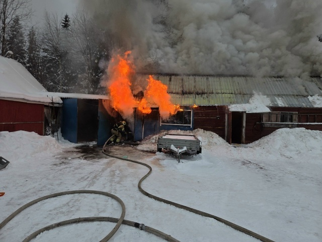    Хоккейный клуб Костомукши «Рыси»