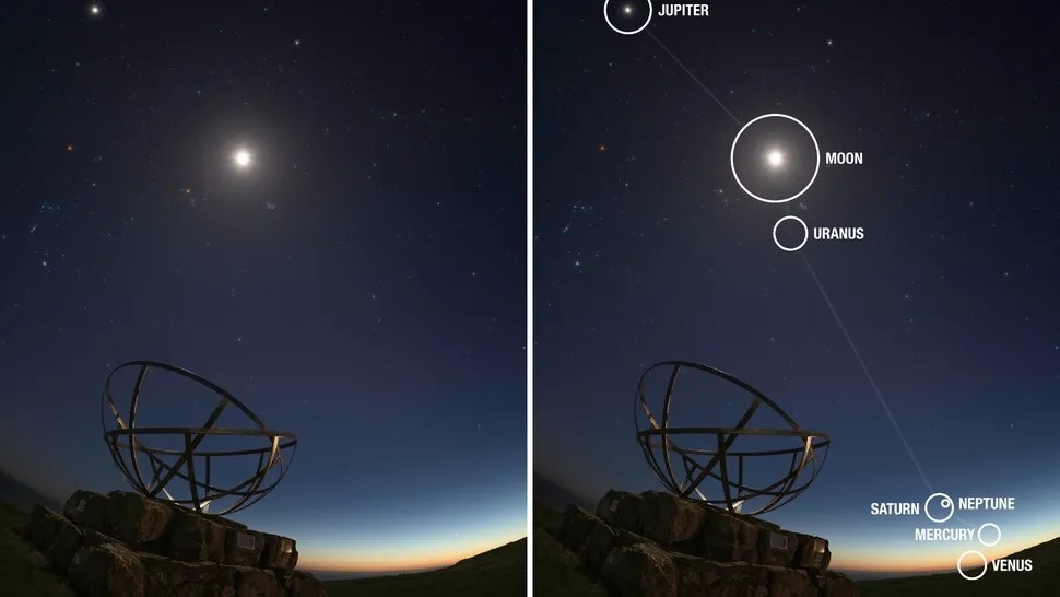 Фото: Josh Dury  📷
