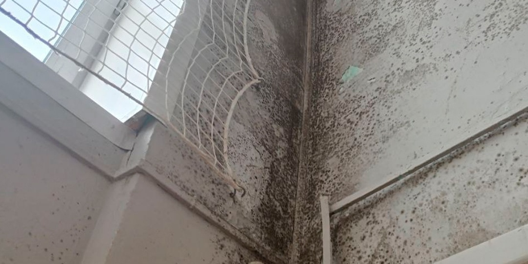 Плесень после капремонта: Бастрыкин потребовал доклад по школе в Котельниче