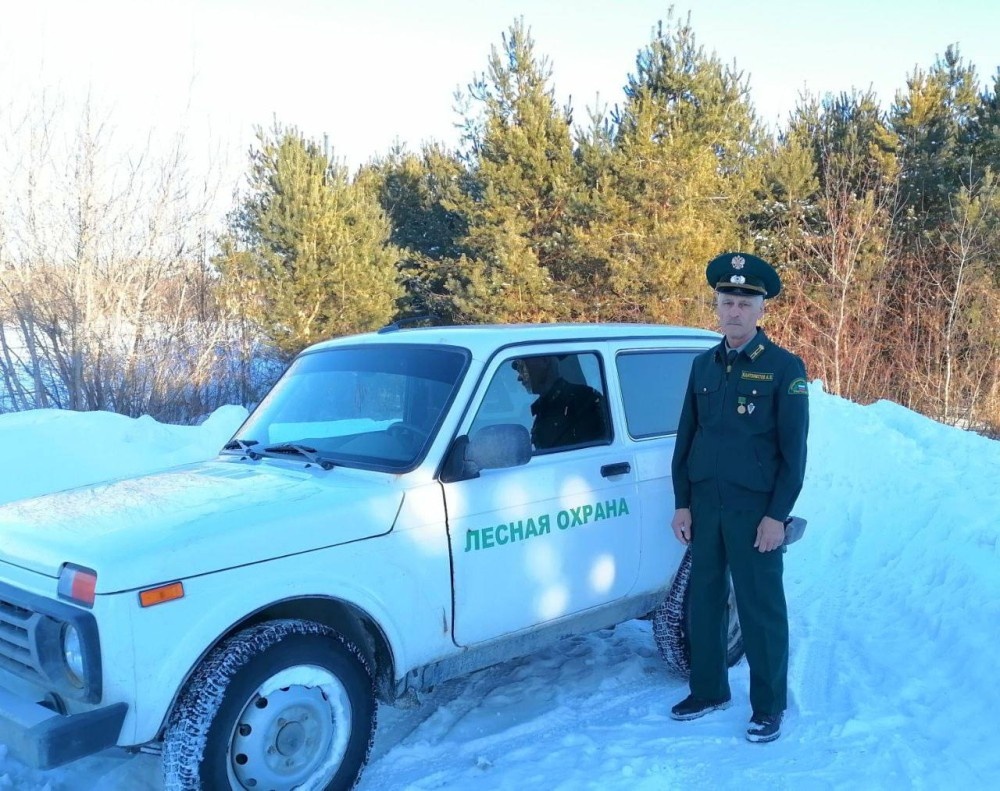    Около 600 патрульных маршрутов будет в лесах Оренбуржья