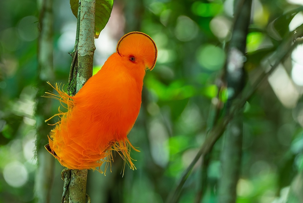 �� ��� � ����������� ���� ���������� �������� ��������� �������� �� ������...