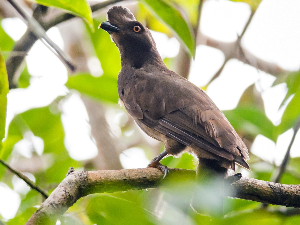 �������.