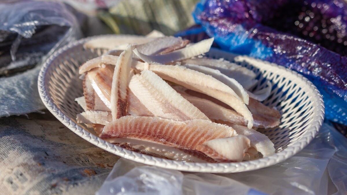    Фото: Федор Воронов / «Ямал-Медиа»