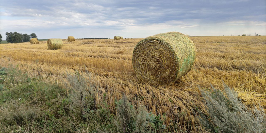 Отличница всегда и везде. Глава 1.