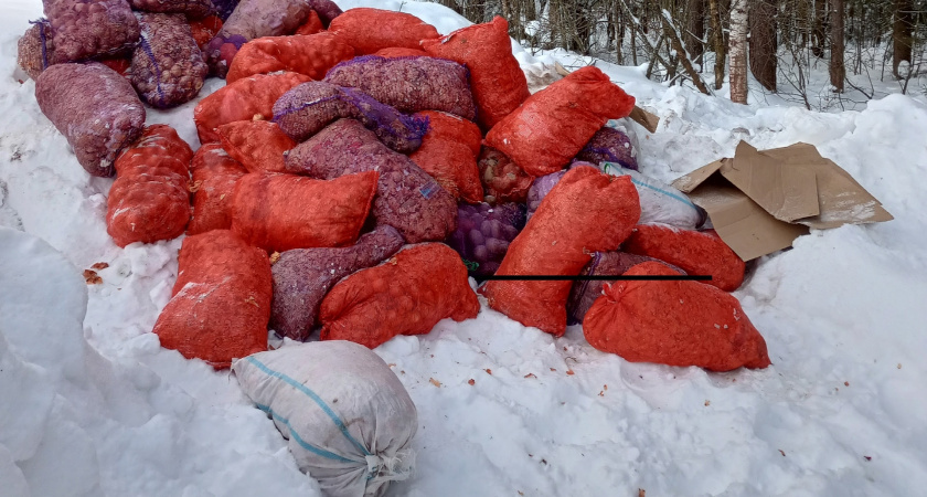    Фото: vk.com/zlo43