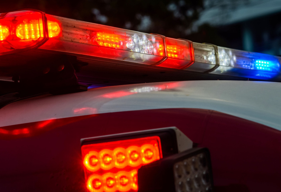    Shutterstock/FOTODOM