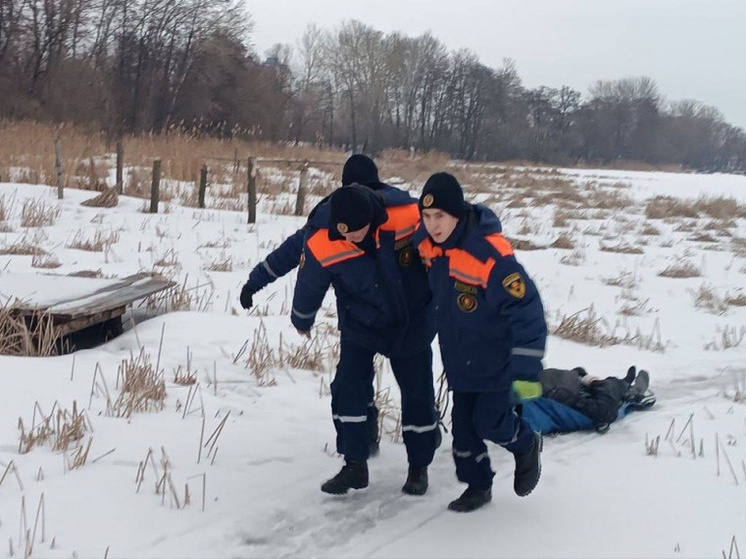     Фото: УГПСС Липецкой области