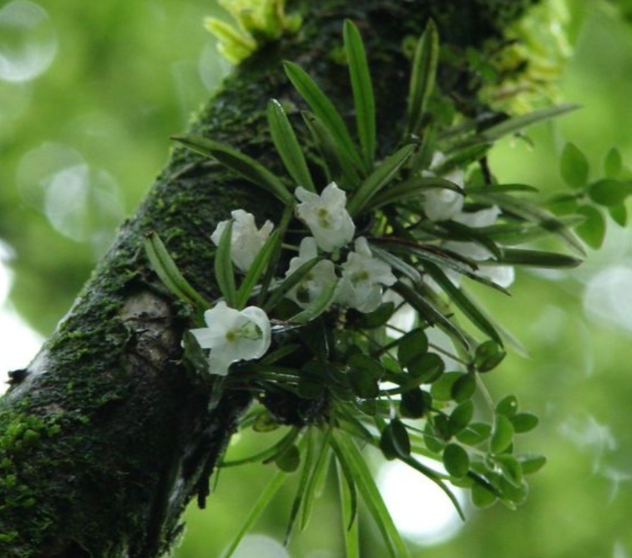 Фото из интернета. 