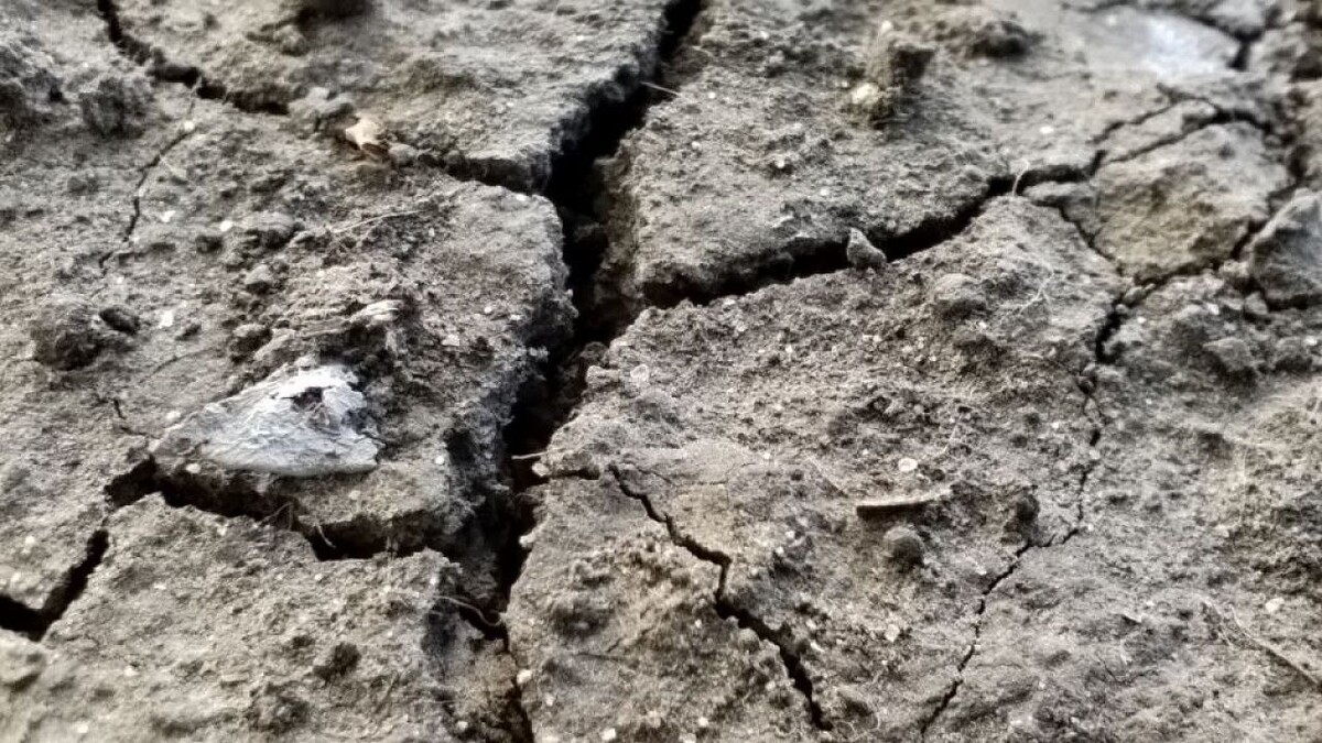    Фото: телеканал «Краснодар»