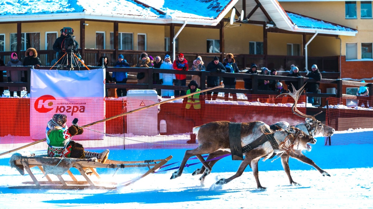    XI конкурс оленеводов проходит в Ханты-Мансийске