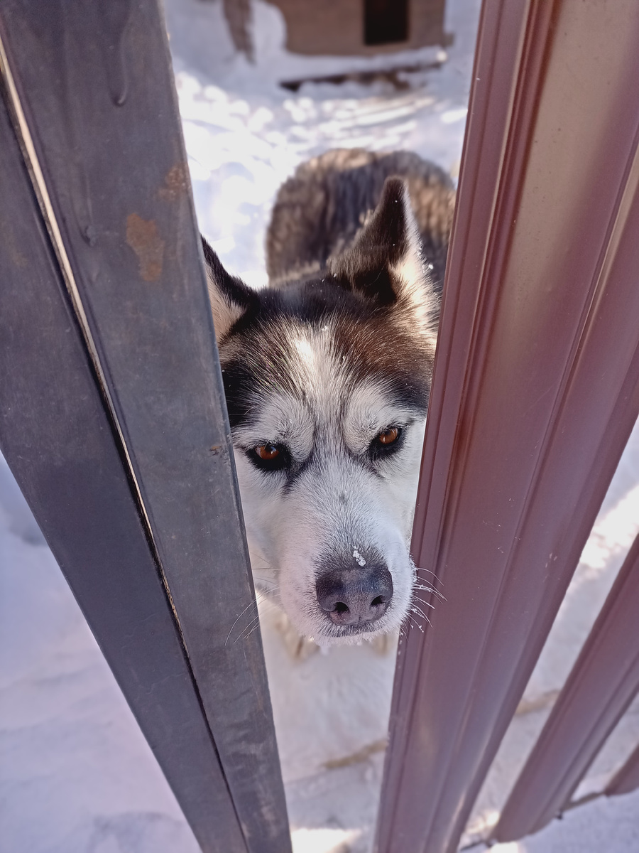 Надо – значит надо!