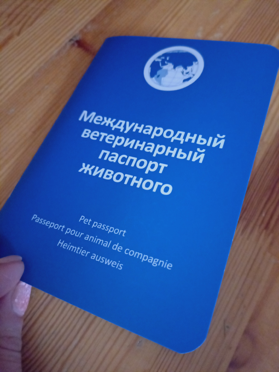 Бертин документ