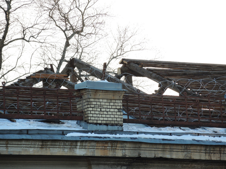     Фото: Наталья Мущинкина