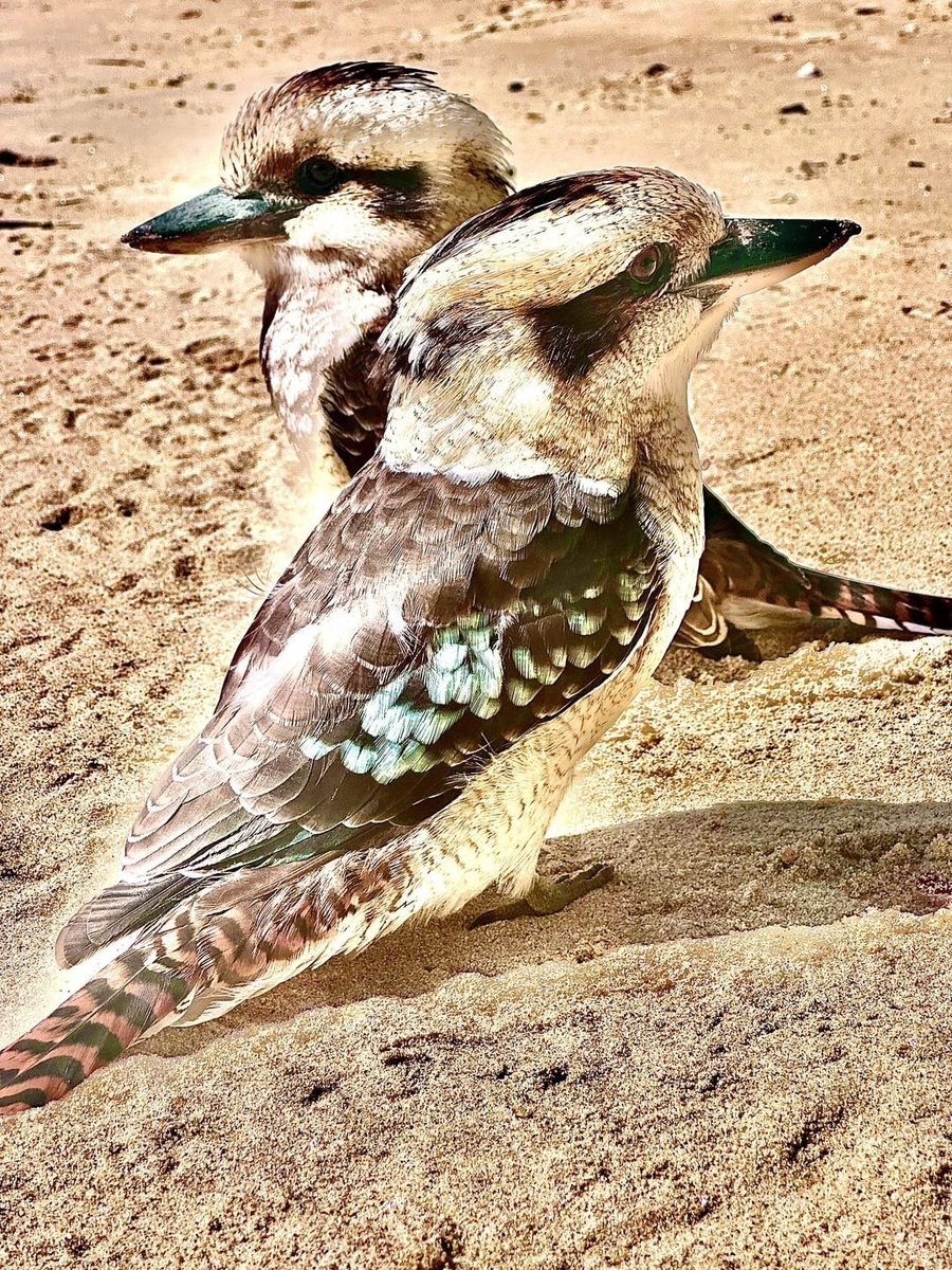 Источник: redd.it