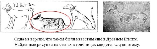 Изображение взято в открытом доступе сети интернет 🌐