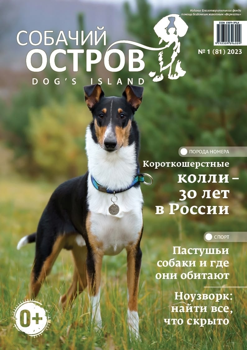 Фото из интренета