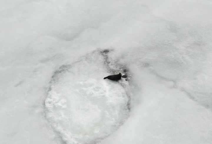 фото: Нижне-Свирский государственный заповедник