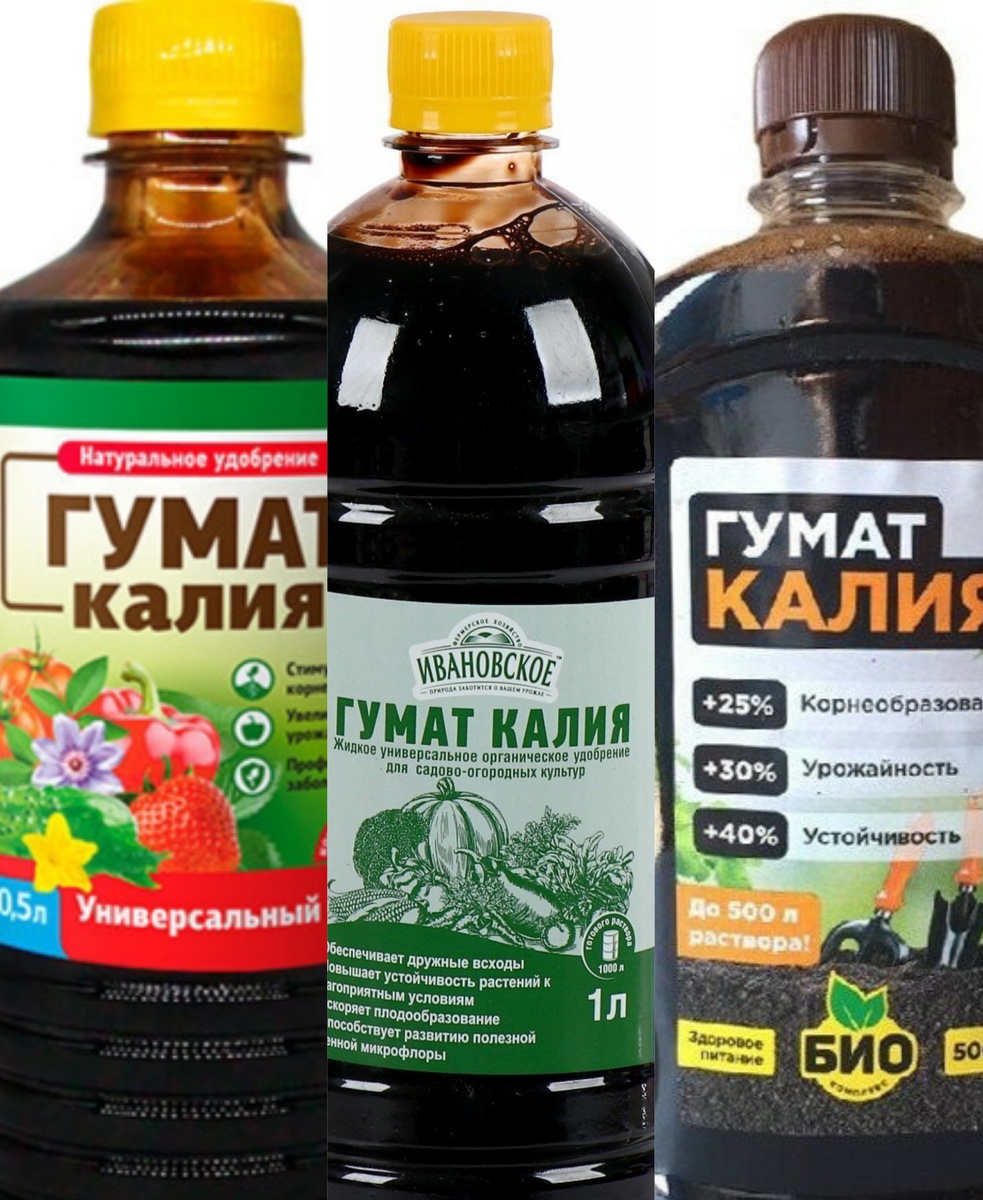 Коллаж автора