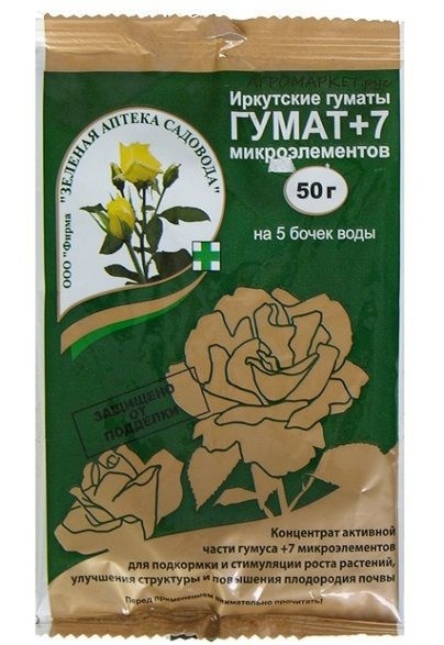 Фото из интернета 