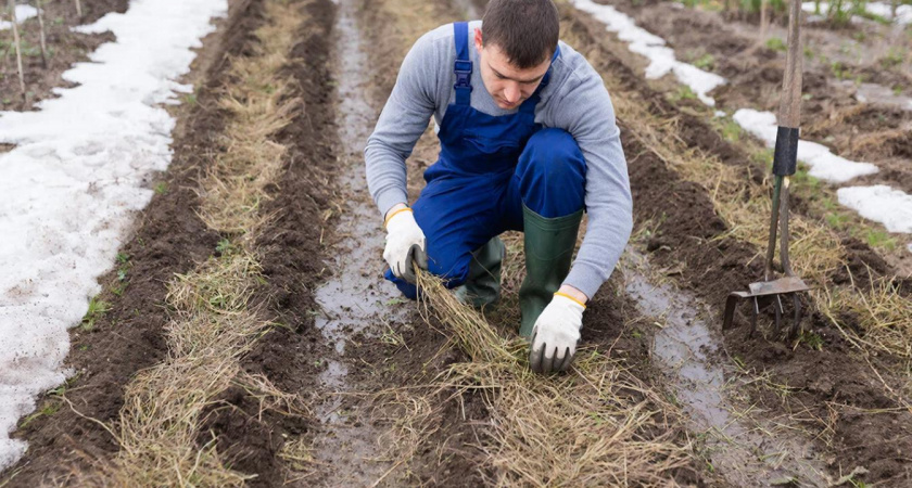    нейросеть shedevrum