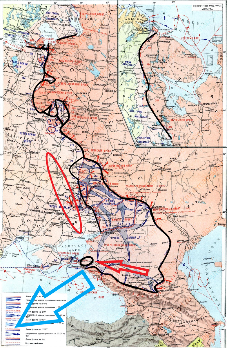 (Фото взято из открытых источников).