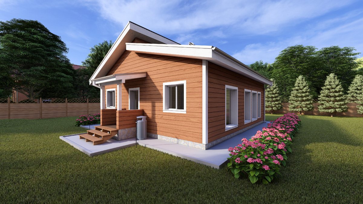 Визуализация дома 1