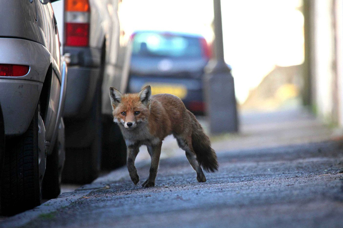 Фото с сайта: https://sudislavl.kostroma.gov.ru/news/detail.php/130345