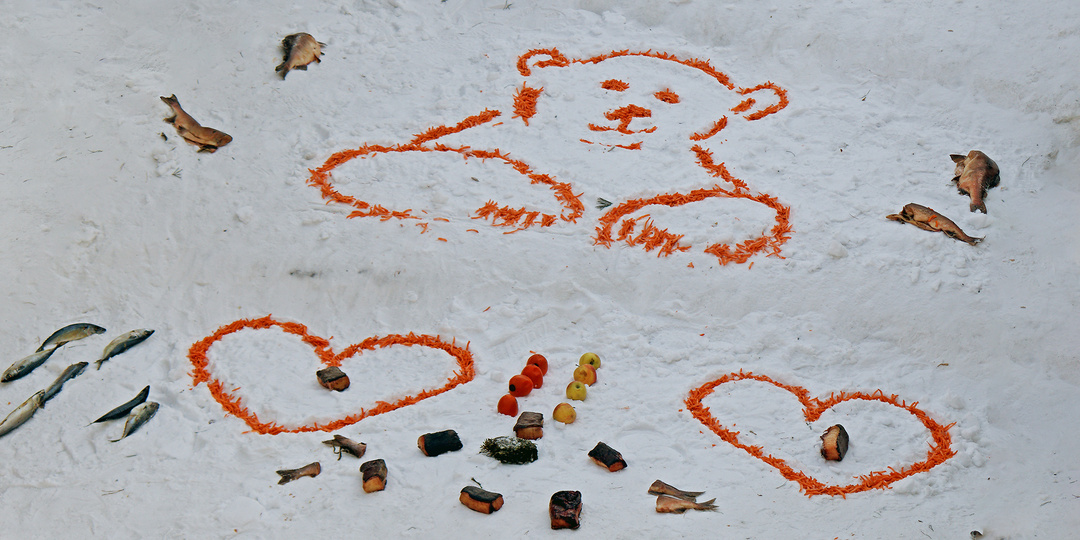 Белка и Стрелка отмечают Международный день полярного медведя