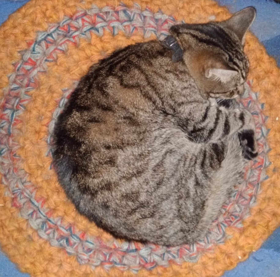 Наш главный любитель вкусняшек