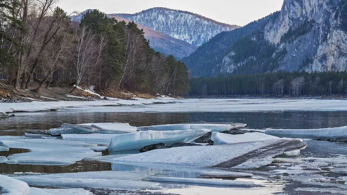 Яндекс. Картинки.