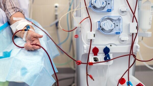    © Sputnik / Алексей Мальгавко