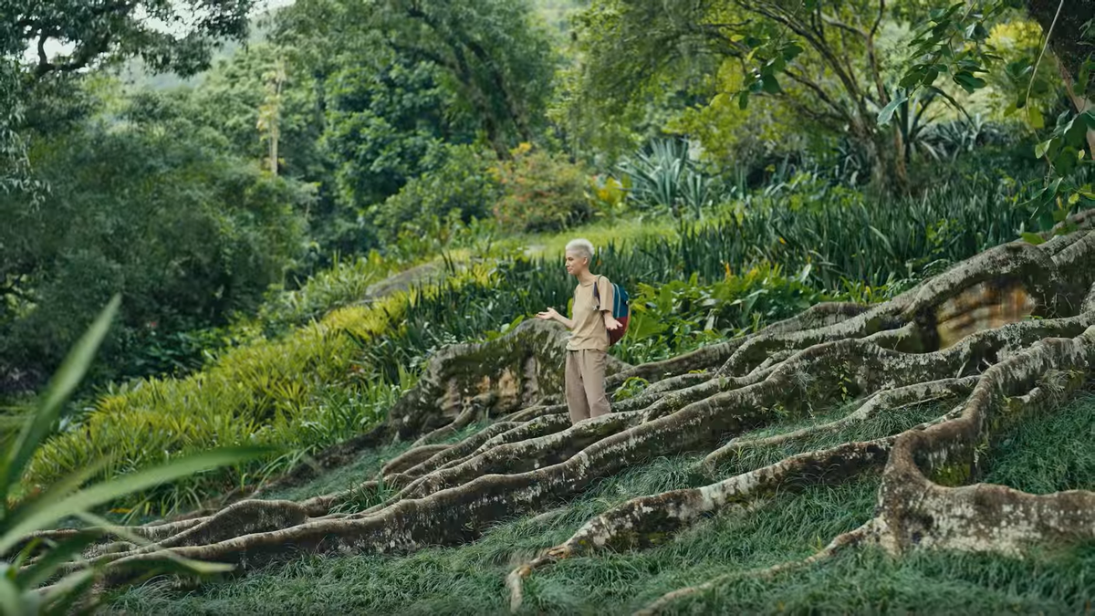 Кадр из сериала «Мир комнатных растений»