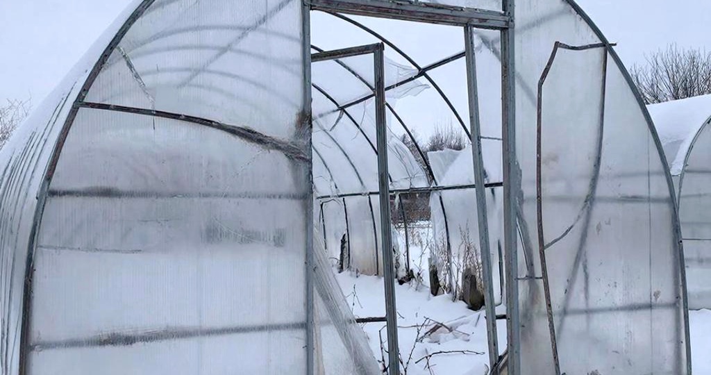 Пленка вместо поликарбоната: почему я навсегда отказался от дорогого пластика. Мой опыт 4 лет без снятия на зиму