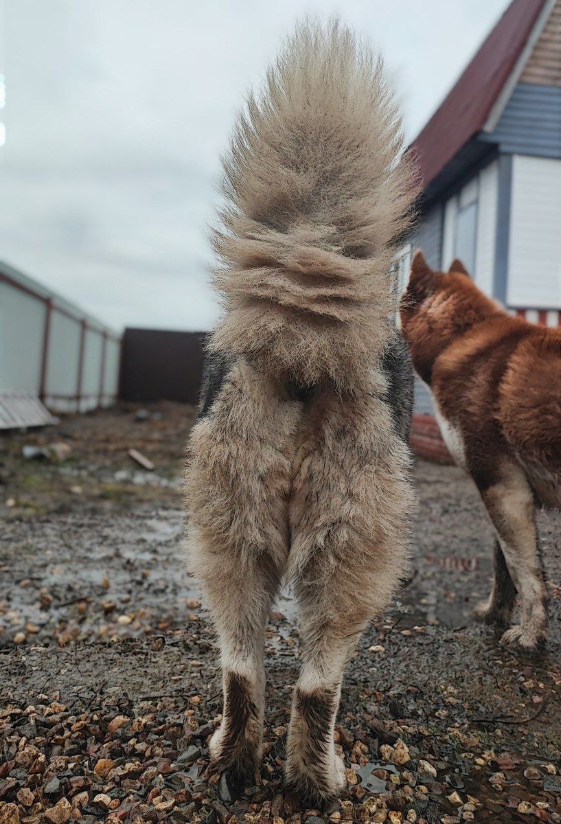 Фото прошлого года. Но это ее любимое состояние 🤣