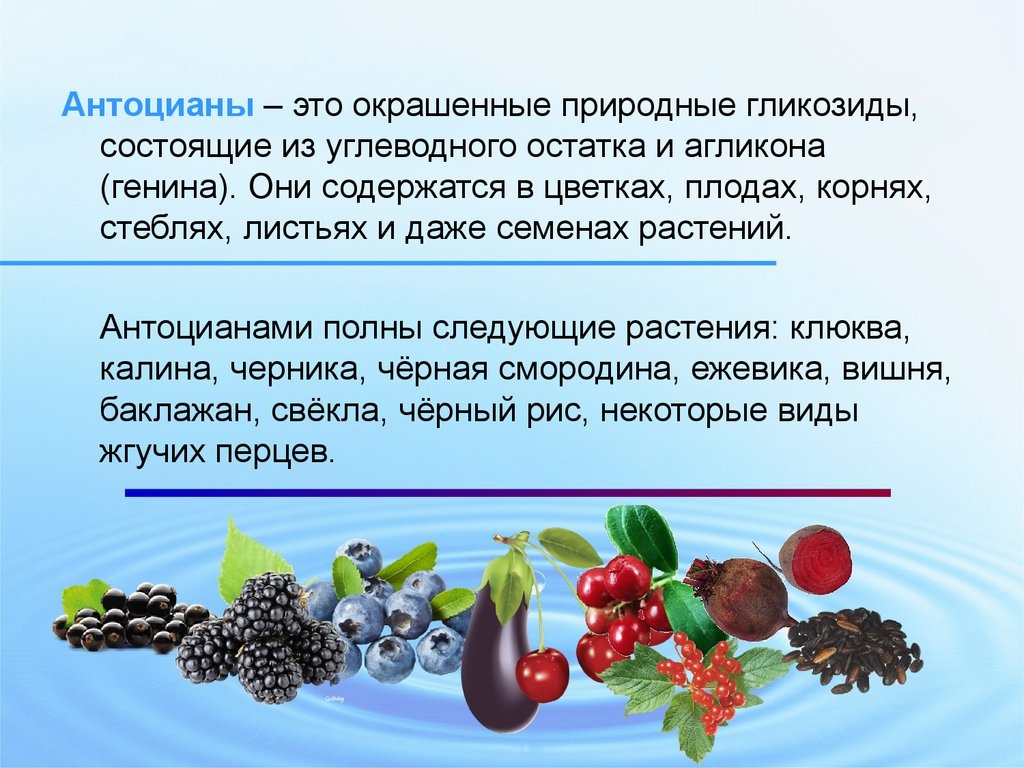 Антоцианы это: