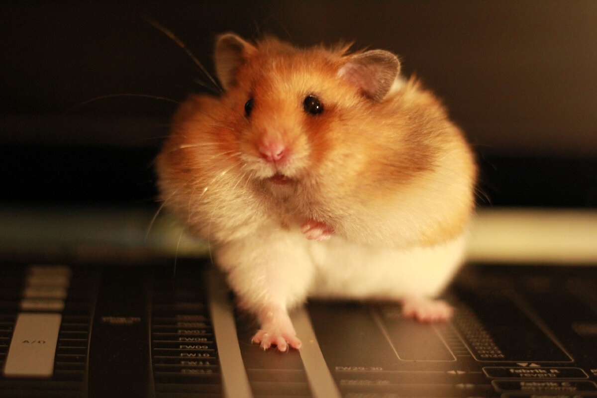 Фото с сайта: https://dzen.ru/a/YYJ-1GVv9mjhSS5t