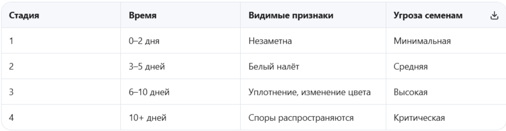 Стадии развития плесени
