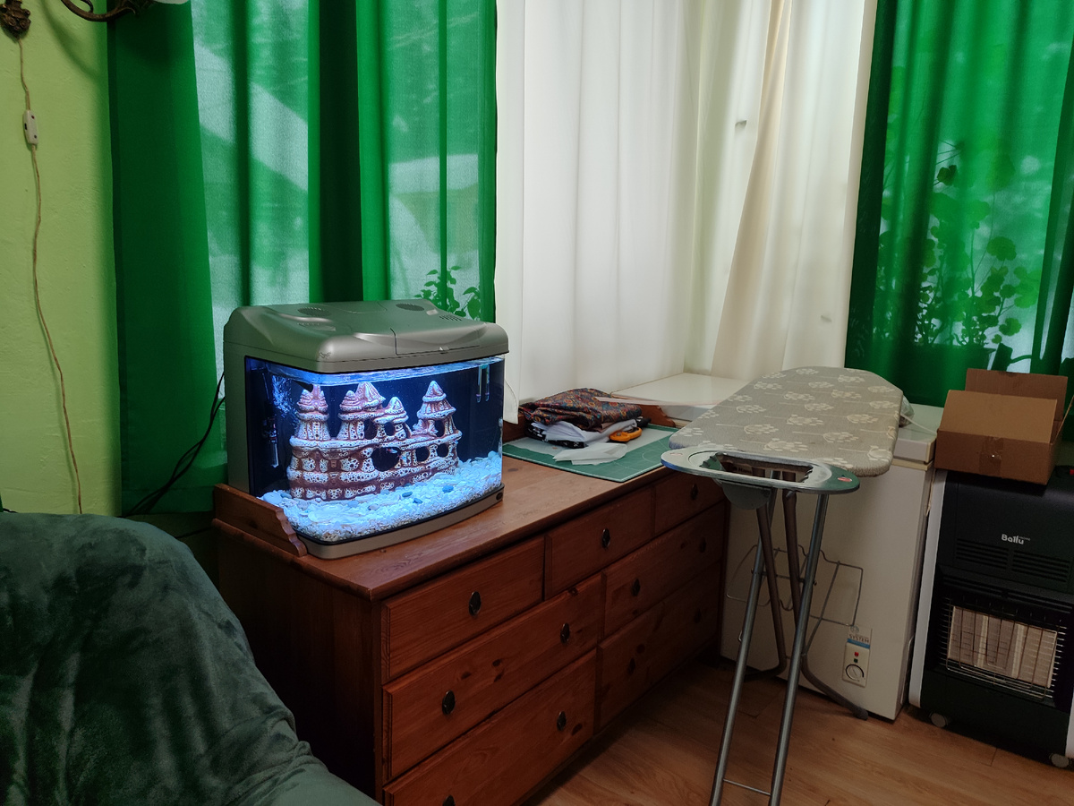 Фото автора