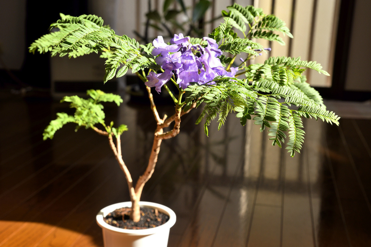 Фотография из интернета