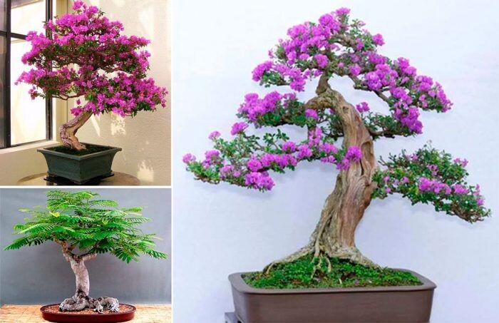 Фотография из интернета