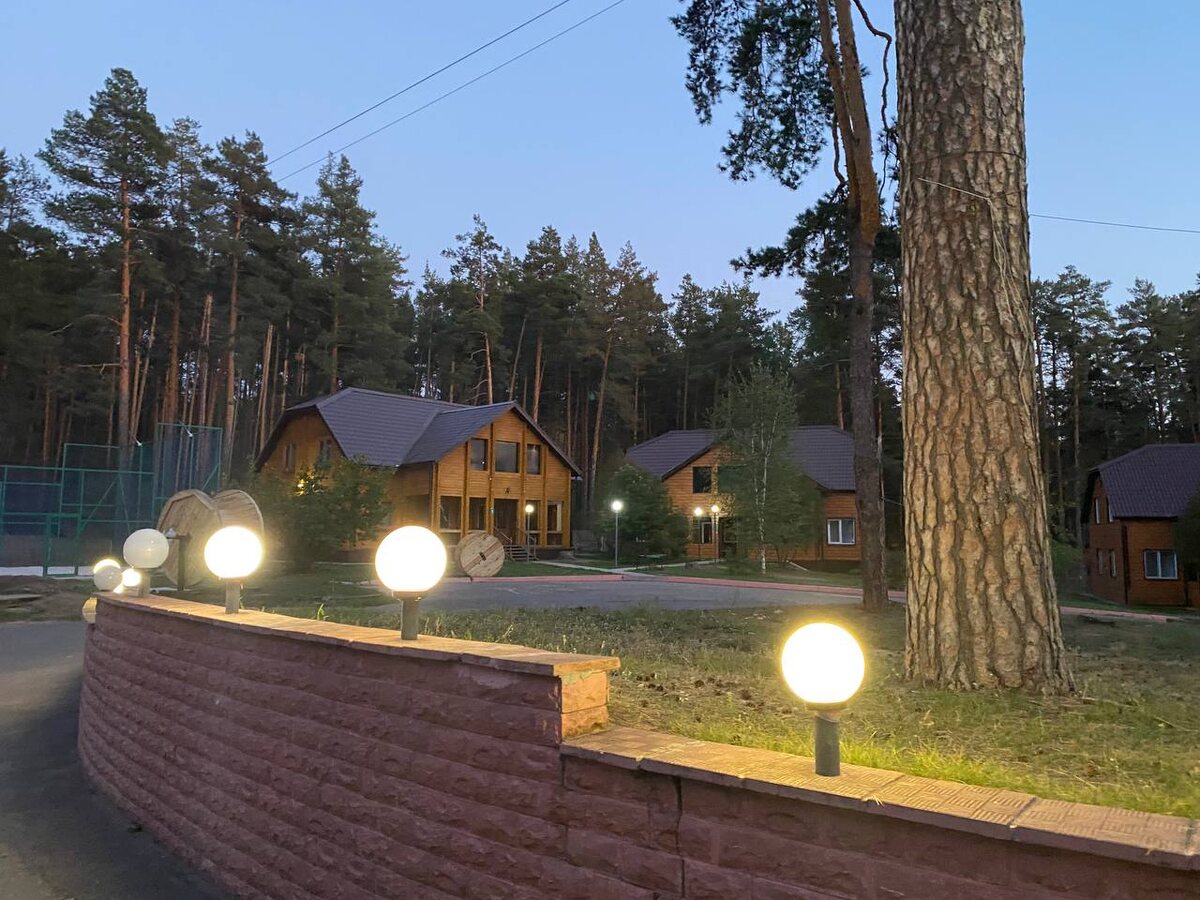 Димитровград, сосновый бор