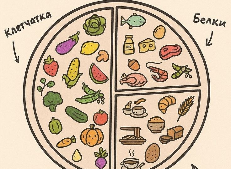 Правило тарелки - самый простой способ есть “нормально” без подсчёта