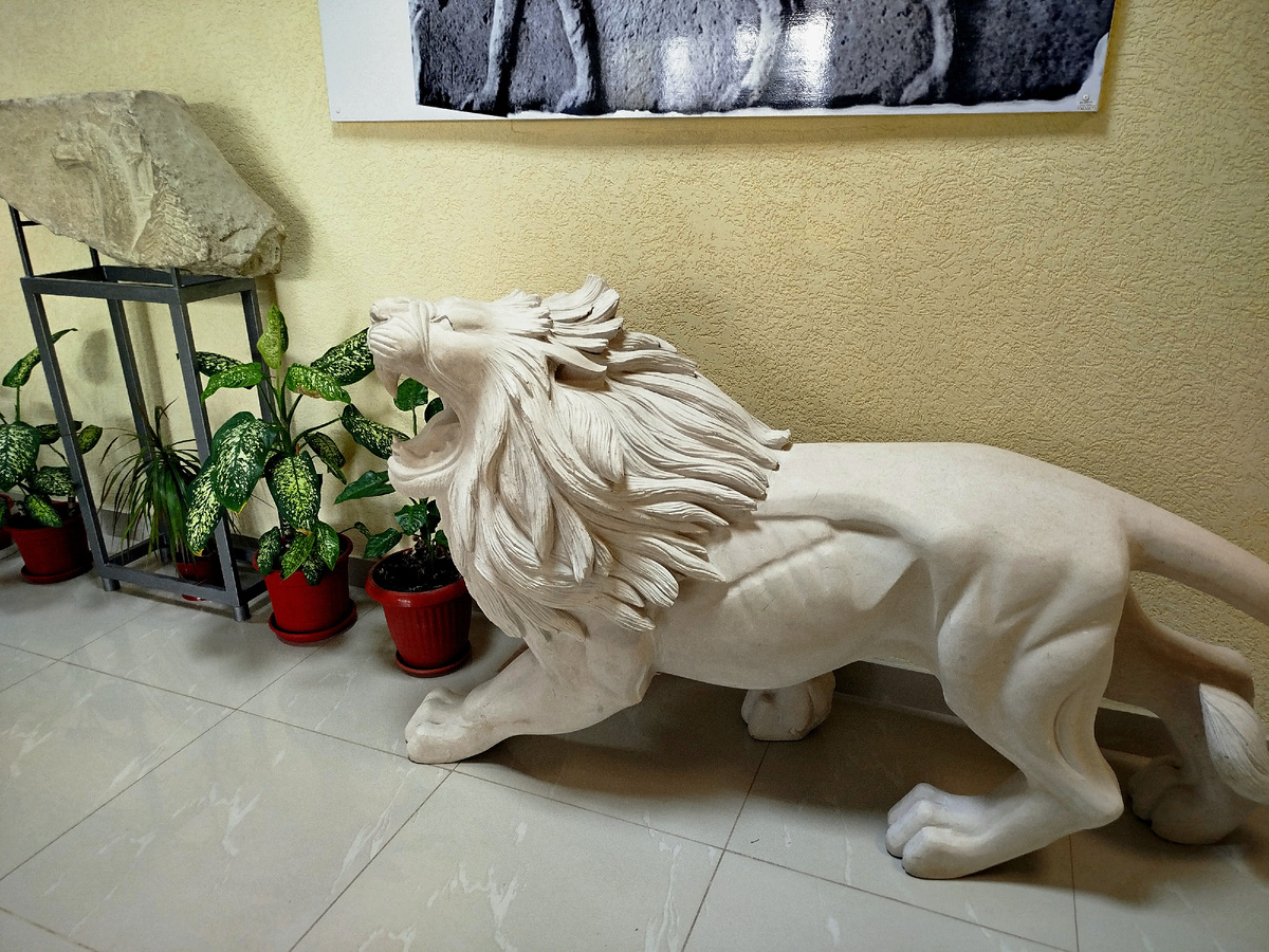 Когда входишь в музей, у входа встречают каменные львы