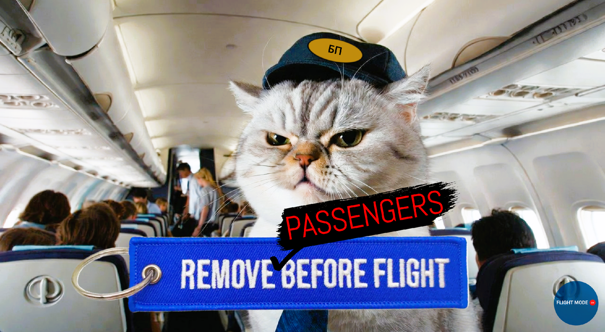 #пассажиры#перевозка пассажиров#пассажир транспорт