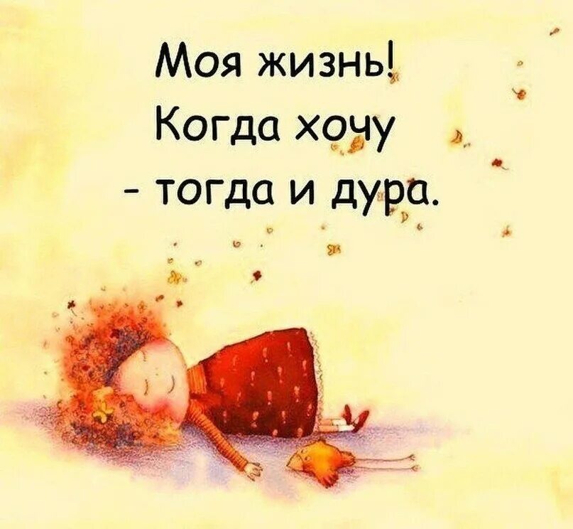 Картинка из Интернета 