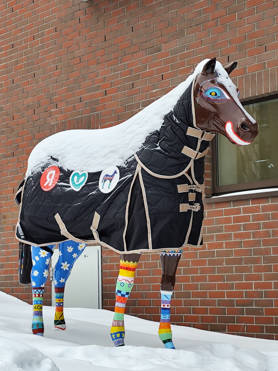 Одна из лошадок. Сразу поднимается настроение.