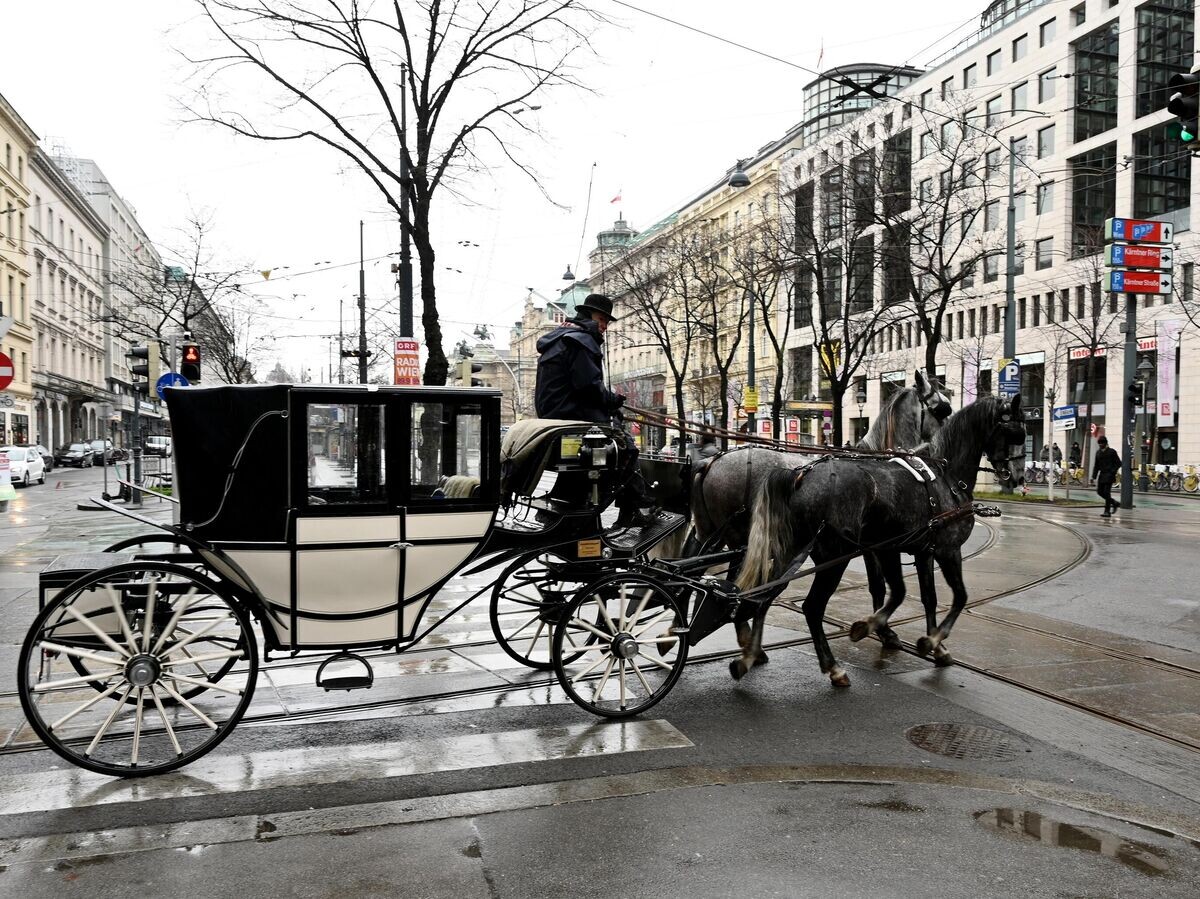    Конный экипаж на одной из улиц в Вене | © РИА Новости / Сергей Пивоваров